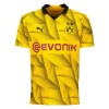 Officiële Voetbalshirt Borussia Dortmund Cup 2023-24 - Heren